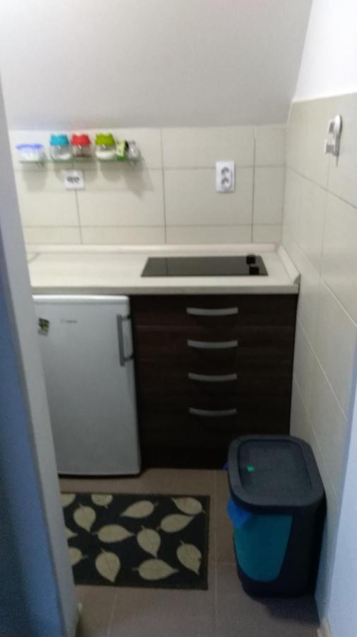 Apartman Vukasin โคเปานิก ภายนอก รูปภาพ